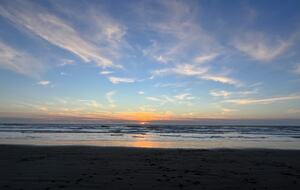 Charming Sunny Victorian | With a Gorgeous Chef's kitchen and backyard - San Francisco, California