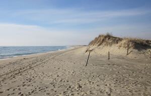 Luxury Martha's Vineyard Estate with Pool - Edgartown, Massachusetts