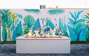 The Palmly , Hot tub, Fire Pit, Close to Old Town! - Scottsdale, Arizona