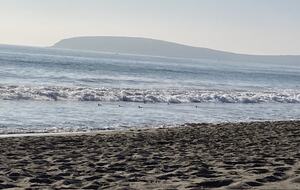 Waves crashing on shorebirds at Pinnacle Beach.