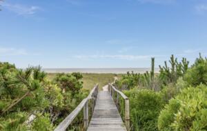 Dune Roe - Westhampton Beach, New York