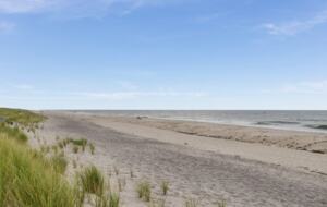 Dune Roe - Westhampton Beach, New York