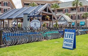 Seacrest Beach Gulf View Front Row of 30A - Inlet Beach, Florida