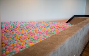 The Modern Bear | With a Private Pool, Ball Pit, Sleeps 12-50 - Garden City, Utah