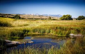 Lucky Duck Ranch - Big Timber, Montana
