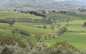 Villa San Lorenzo Umbrian Estate - Castiglione Del Lago, Italy