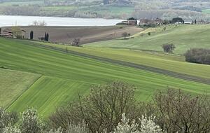 Villa San Lorenzo Umbrian Estate - Castiglione Del Lago, Italy