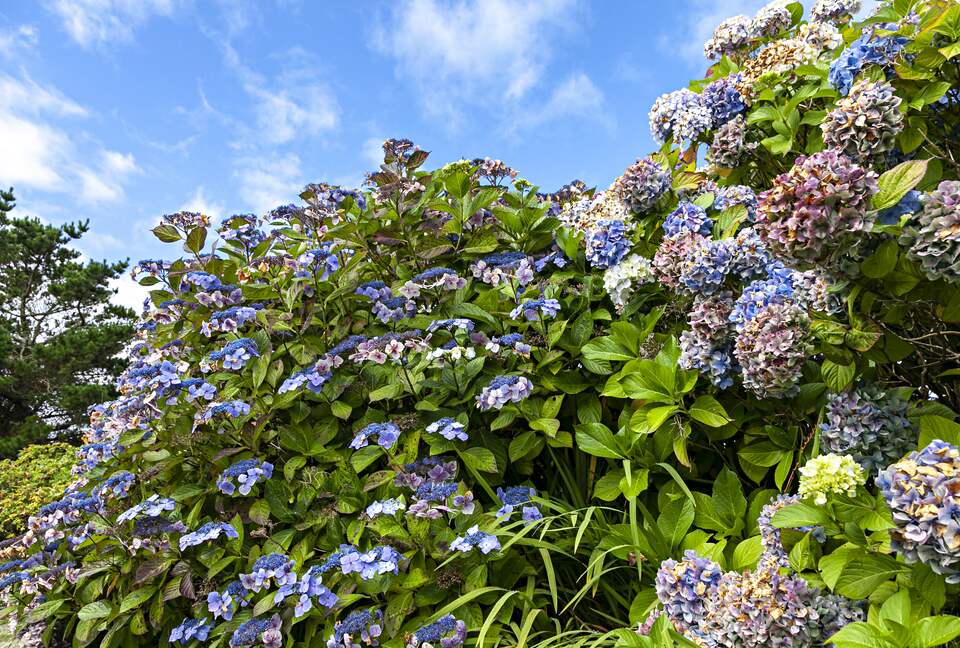 Garraunbaun Lodge - Moyard, Ireland