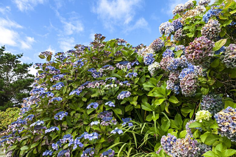 Garraunbaun Lodge - Moyard, Ireland