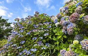 Garraunbaun Lodge - Moyard, Ireland