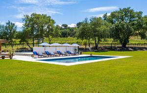 Pure Luxury: Casa Gaga Estates- Vineyard Retreat - Geyserville, California