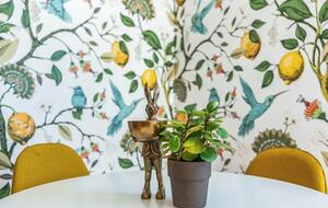 Modern Victorian | In the heart of historic Wilmington - Wilmington, North Carolina