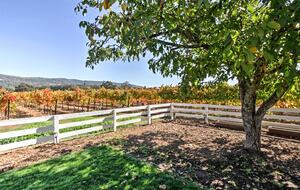 Sonoma Sunsets | With patio and vineyard views - Sonoma, California