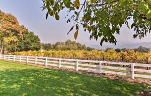 Sonoma Sunsets | With patio and vineyard views - Sonoma, California