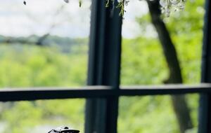 Luxury Riverfront Bungalow - Minutes to Downtown - Knoxville, Tennessee