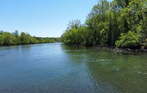 Luxury Riverfront Bungalow - Minutes to Downtown - Knoxville, Tennessee