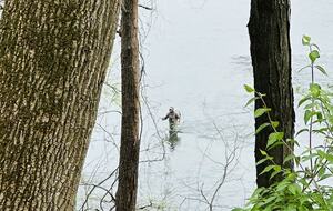 Luxury Riverfront Bungalow - Minutes to Downtown - Knoxville, Tennessee