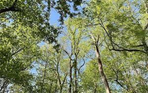 Luxury Riverfront Bungalow - Minutes to Downtown - Knoxville, Tennessee