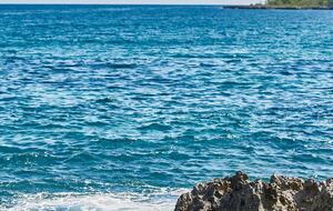 Poetreef Retreat - Green Island, Jamaica