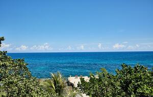 Poetreef Retreat - Green Island, Jamaica