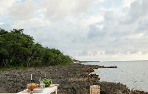 Poetreef Retreat - Green Island, Jamaica