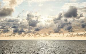 Poetreef Retreat - Green Island, Jamaica