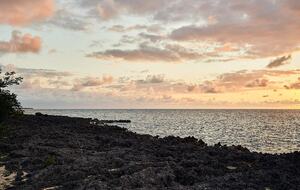 Poetreef Retreat - Green Island, Jamaica