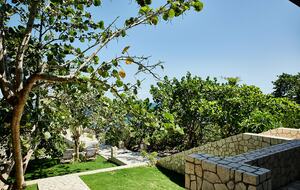 Poetreef Retreat - Green Island, Jamaica