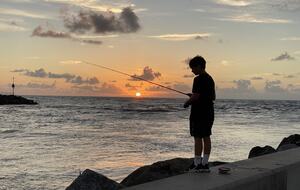 Amazing Jupiter Tropical Pool House - Jupiter, Florida