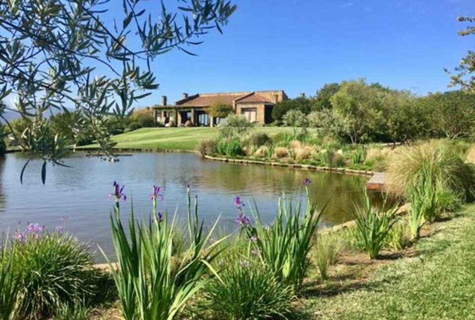 Olivo Santo Estate - Laguna de Zapallar, Chile