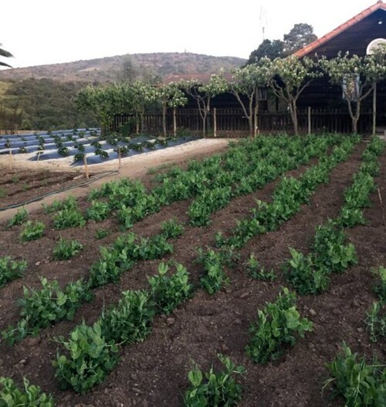 Olivo Santo Estate - Laguna de Zapallar, Chile