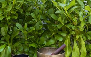 Nido Balam | Lovely 4BR Villa with Pool & Jacuzzi | Chef Available - Tulum Aldea Zamá, Mexico