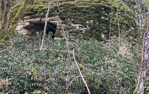 Château de Rouffillac - Carlux, France