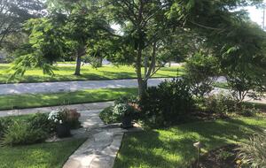 North Beach Beauty with a Pool - Clearwater Beach, Florida