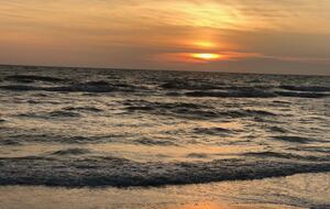 North Beach Beauty with a Pool - Clearwater Beach, Florida