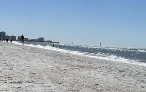 North Beach Beauty with a Pool - Clearwater Beach, Florida