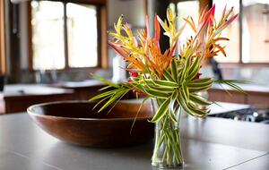 Tropical Getaway with Ocean/Jungle Views + Natural Swim Pool - Bocas del Toro Province, Panama