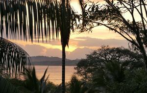 Tropical Getaway with Ocean/Jungle Views + Natural Swim Pool - Bocas del Toro Province, Panama