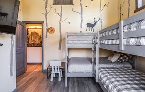 Modern Cabin at Big Bear Lake - Big Bear Lake, California