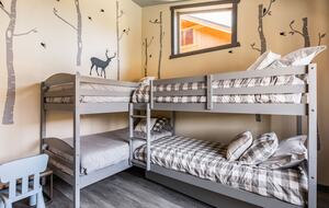 Modern Cabin at Big Bear Lake - Big Bear Lake, California