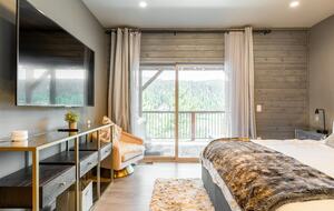 Modern Cabin at Big Bear Lake - Big Bear Lake, California