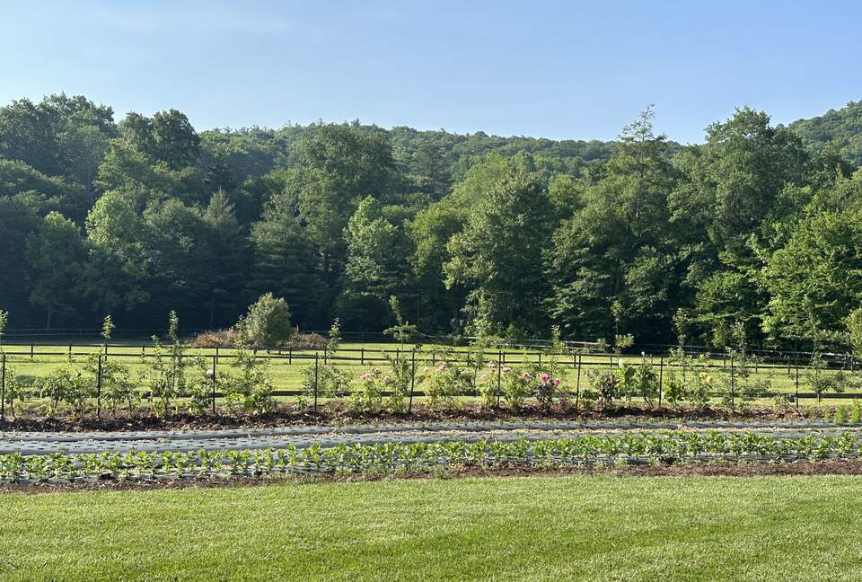 Two Moon | Elegant Mountain Home with Great Community Amenities - Cashiers, North Carolina