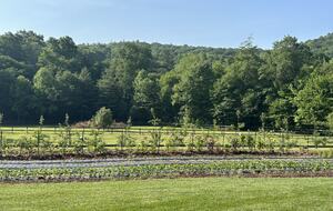 Two Moon | Elegant Mountain Home with Great Community Amenities - Cashiers, North Carolina