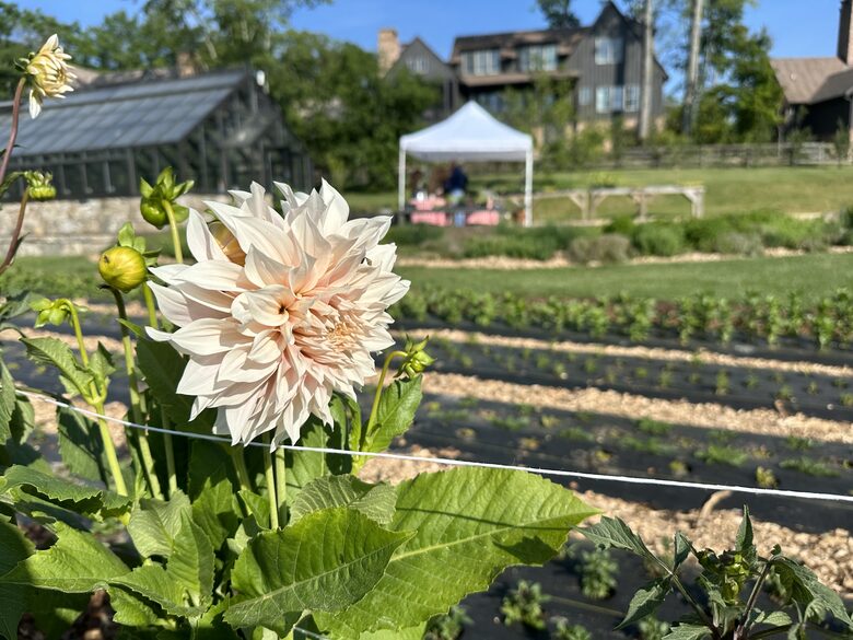 Two Moon | Elegant Mountain Home with Great Community Amenities - Cashiers, North Carolina