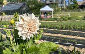 Two Moon | Elegant Mountain Home with Great Community Amenities - Cashiers, North Carolina