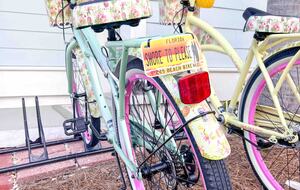 Seaside Beach Sunrise Cottage - Inlet Beach, Florida