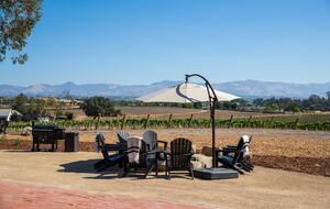 Deboem Vineyard | 20 Acre Organic Vineyard - Ballard, California