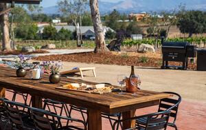 Deboem Vineyard | 20 Acre Organic Vineyard - Ballard, California