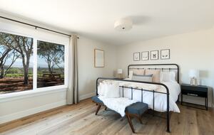 Deboem Vineyard | 20 Acre Organic Vineyard - Ballard, California