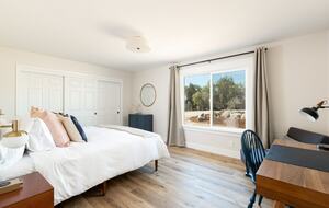 Deboem Vineyard | 20 Acre Organic Vineyard - Ballard, California